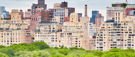 How Urban Floriculture Helps Green Cities
