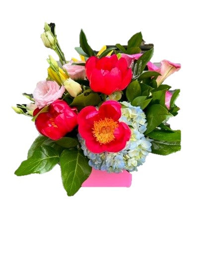 Pink Posy