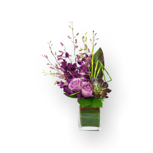 Orchid Jewels-Luxurious orchids resembling precious jewels in a stunning display