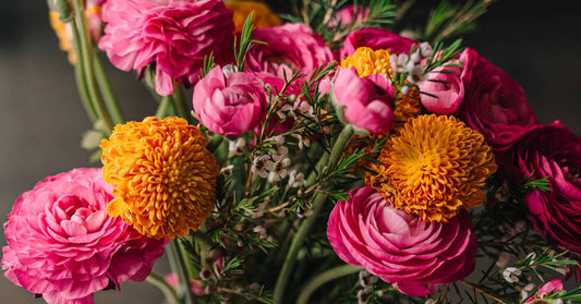 The Best Flowers for People with Allergies