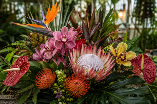 Exploring the World’s Most Exotic and Unusual Flowers