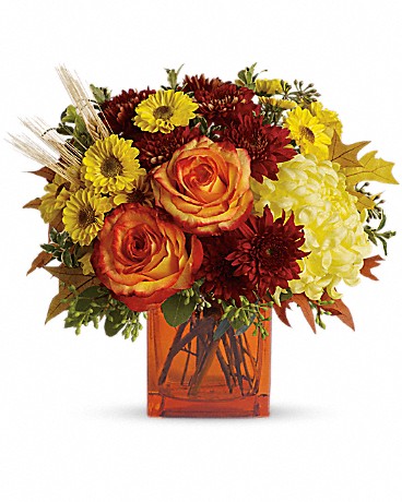 Dragonetti Florist and Garden Center