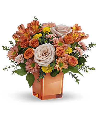 Dragonetti Florist and Garden Center